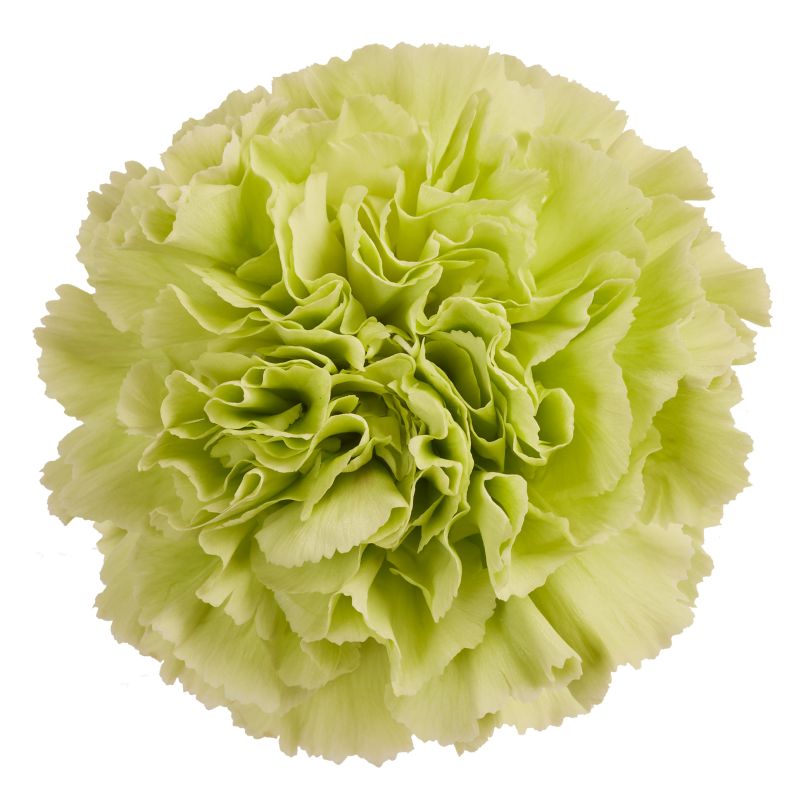 sel®DCS 21-2656