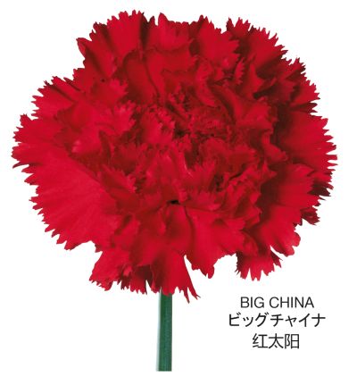 Big China
